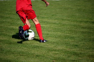 星空体育在线-NBA球员技术动作进阶训练，nba球员训练方式