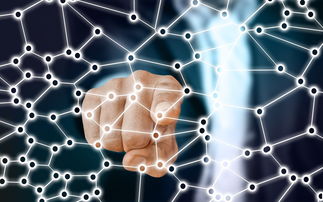 xingkong.com-中国篮球职业联赛市场竞争策略分析，我国篮球职业联赛